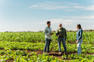 Farmers are Better than teachers