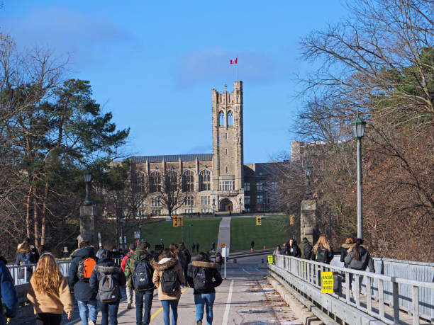 Top Courses in demand abroad for international students